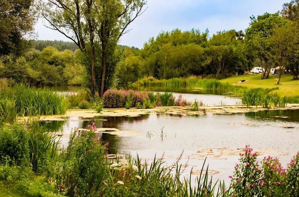 020 north norfolk camping glamping with myminibreak holt norfolk