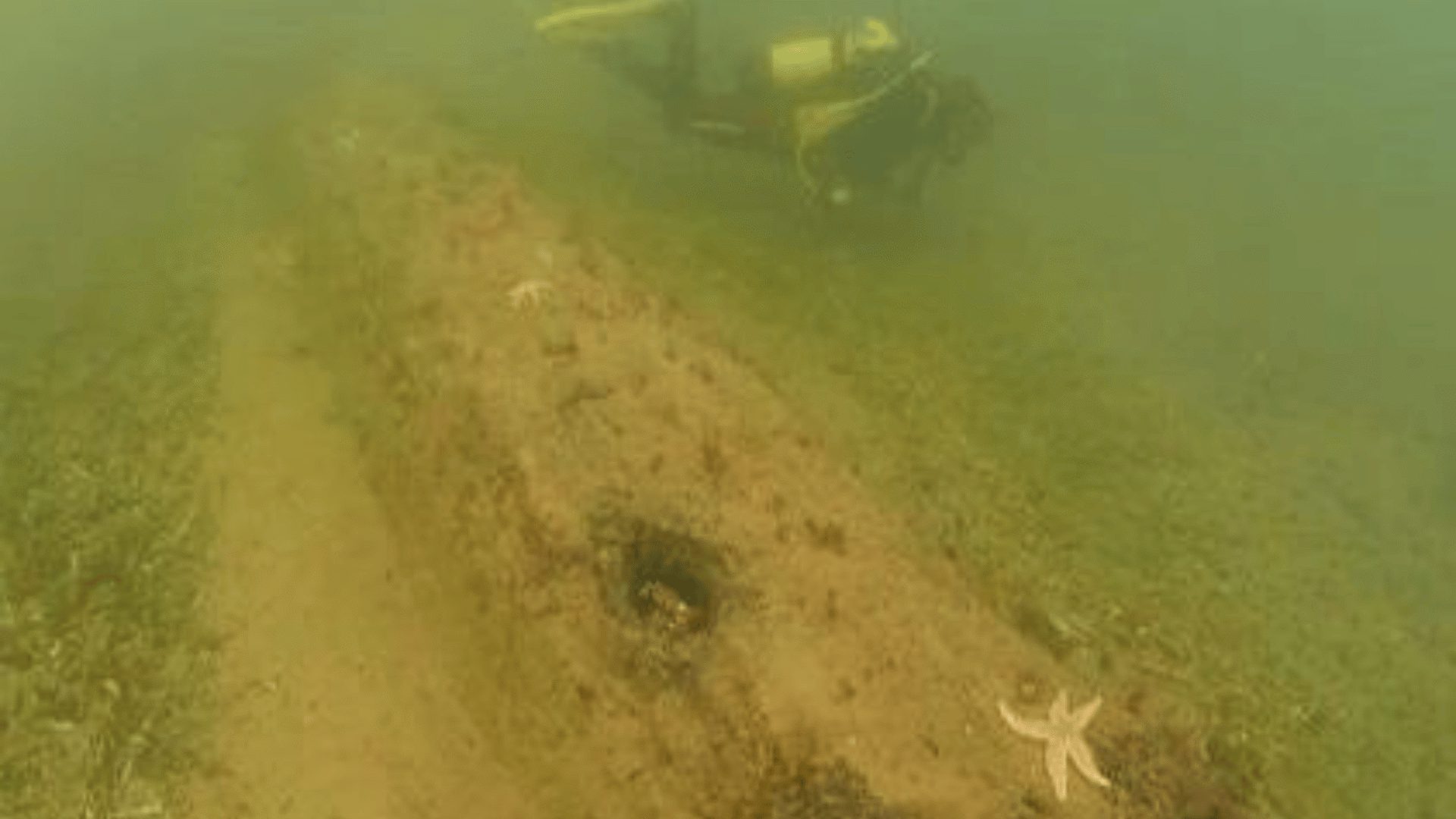 1920 1080 Chalk reef 3 starfish diver