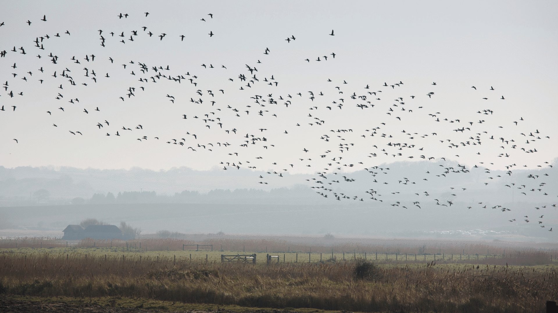 1920 1080 Cley Marshes