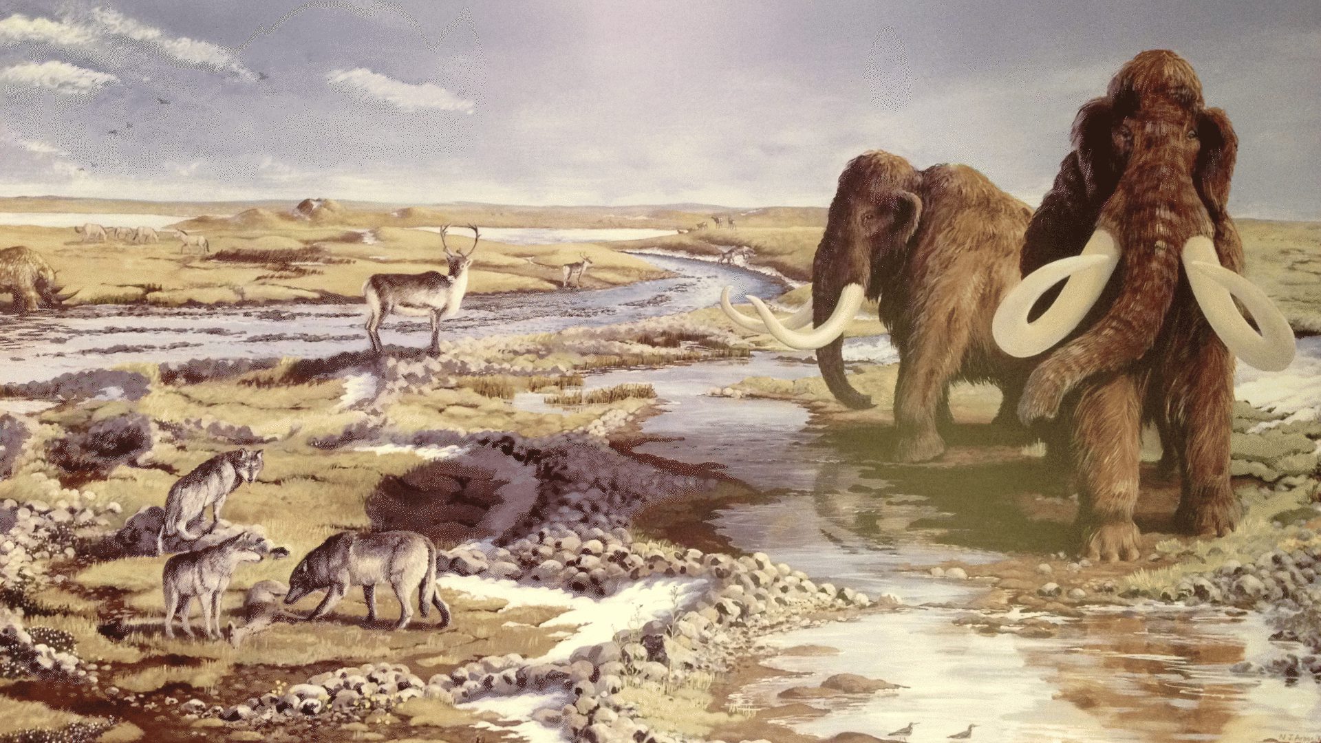 1920 1080 Deep History Coast 2 Doggerland