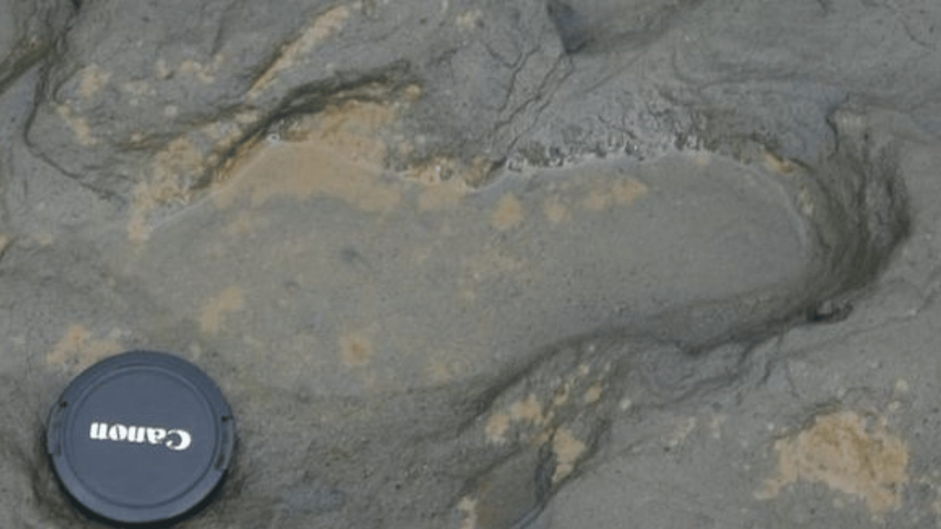 1920 1080 Deep History Coast 5 Happisburgh footprints