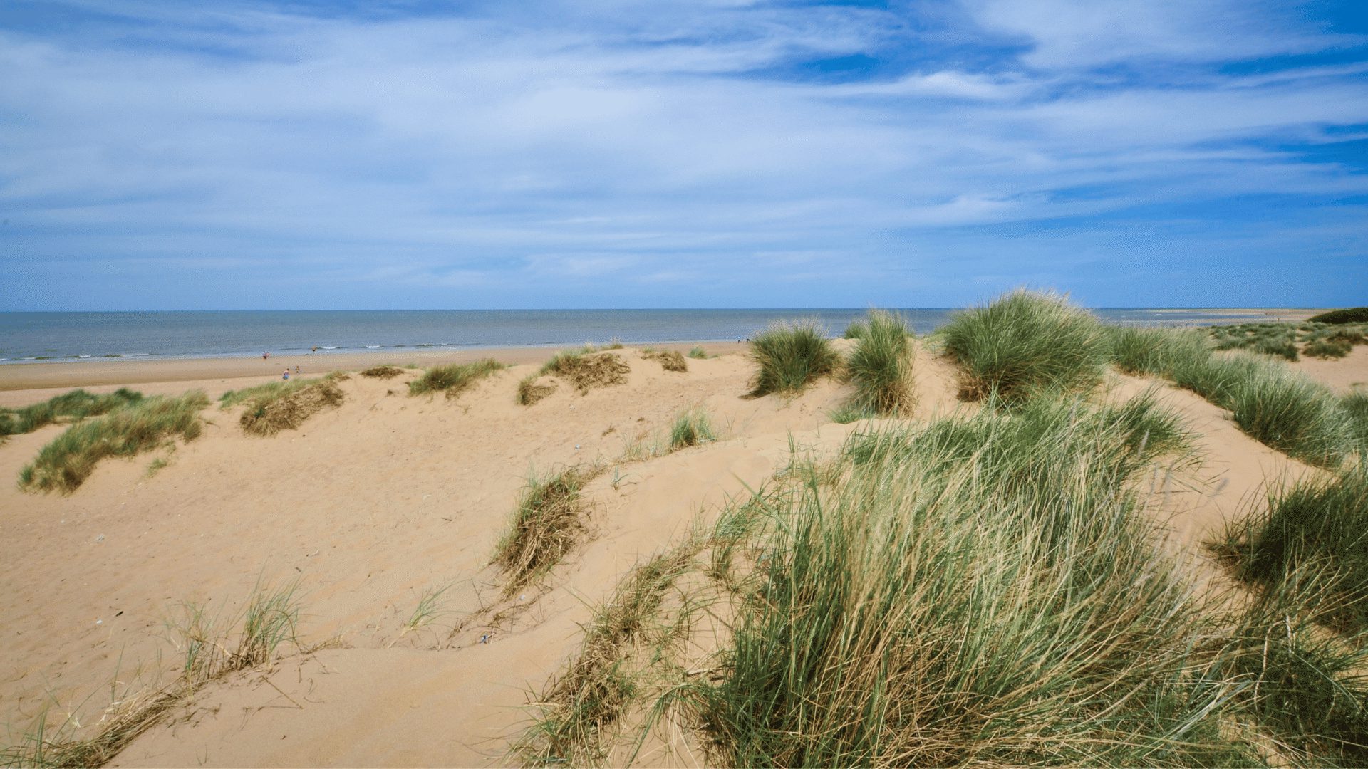 1920 1080 Holme Dunes beach dunes