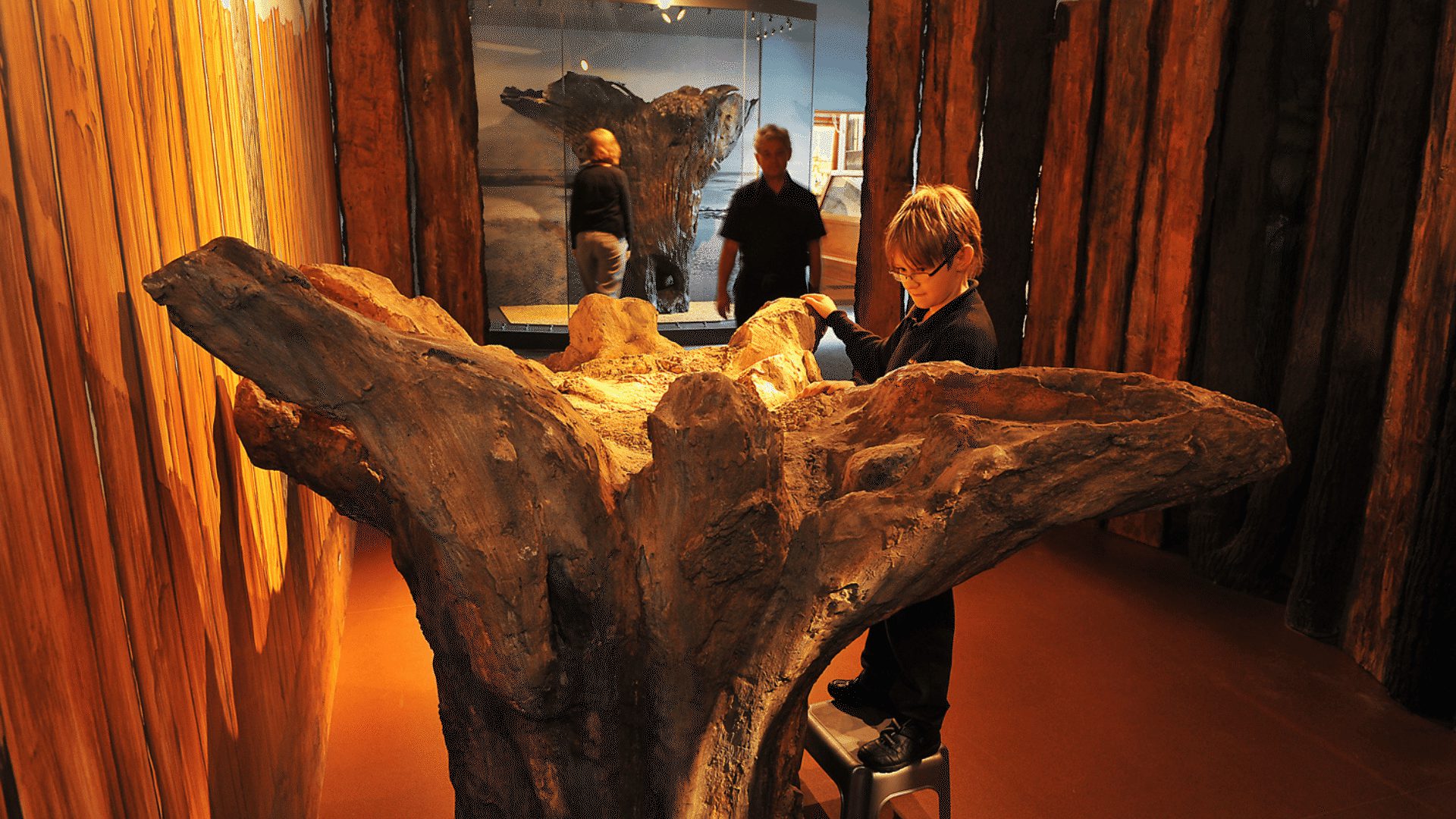 1920 1080 Kings Lynn Lynn Museum Seahenge display