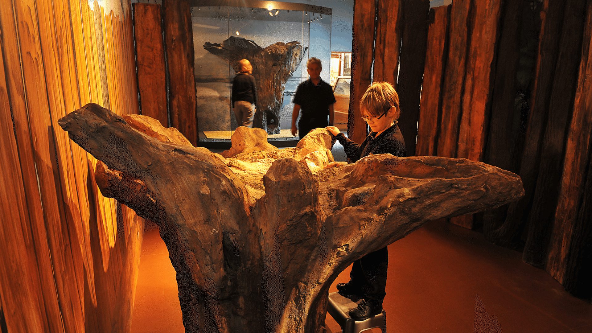 1920 1080 Kings Lynn Lynn Museum Seahenge display