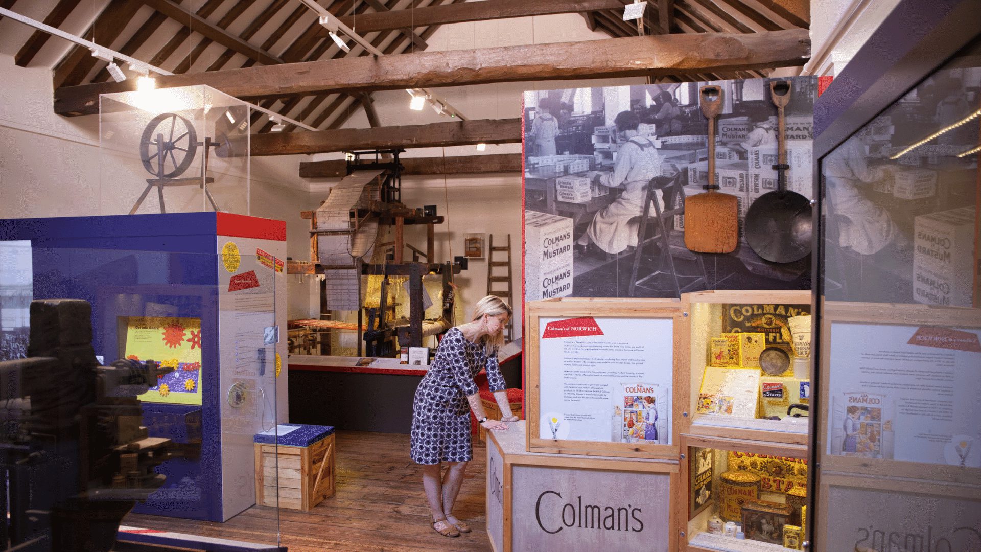 1920 1080 Norwich Museum of Norwich at the Bridewell Norwich