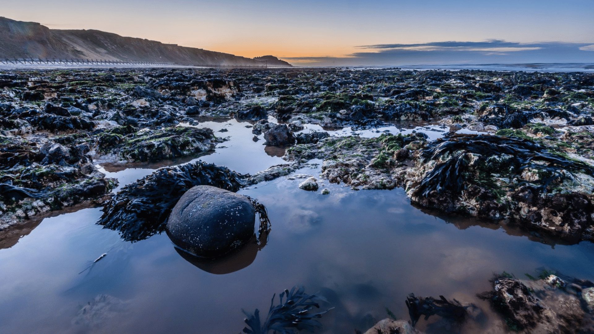 1920 1080 West Runton rockpool 1