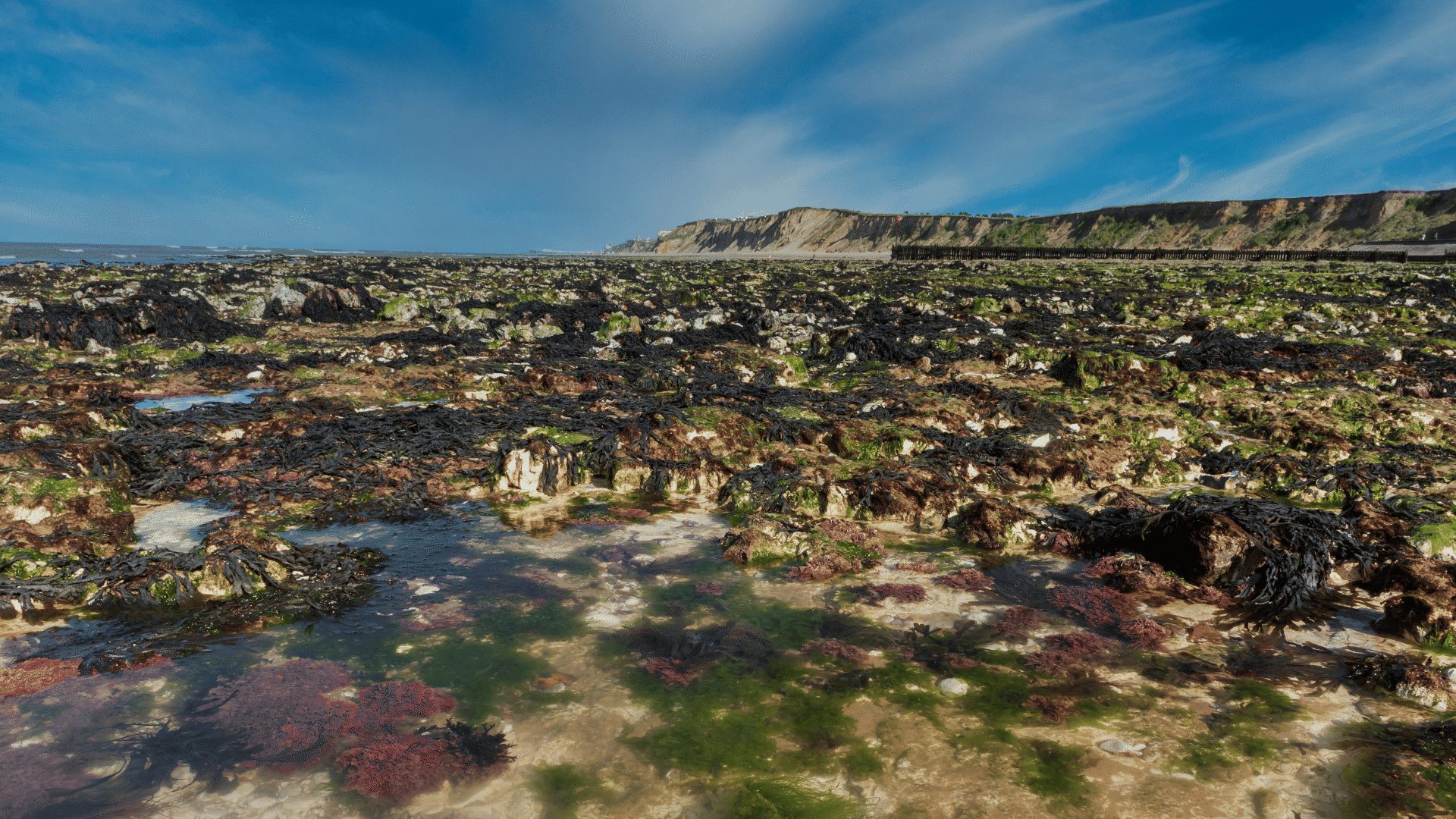 1920 1080 West Runton rockpool 3