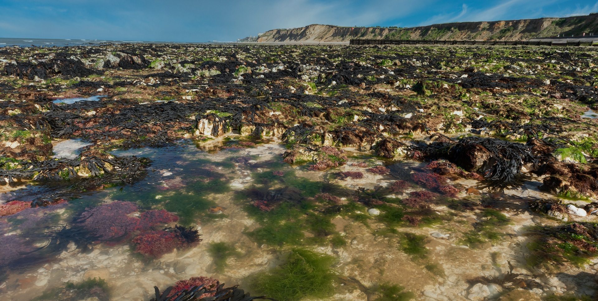 1920 600 West Runton rockpool 3