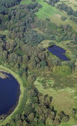 1920 900 Thetford Forest Brecks pingo aerial Mike Page