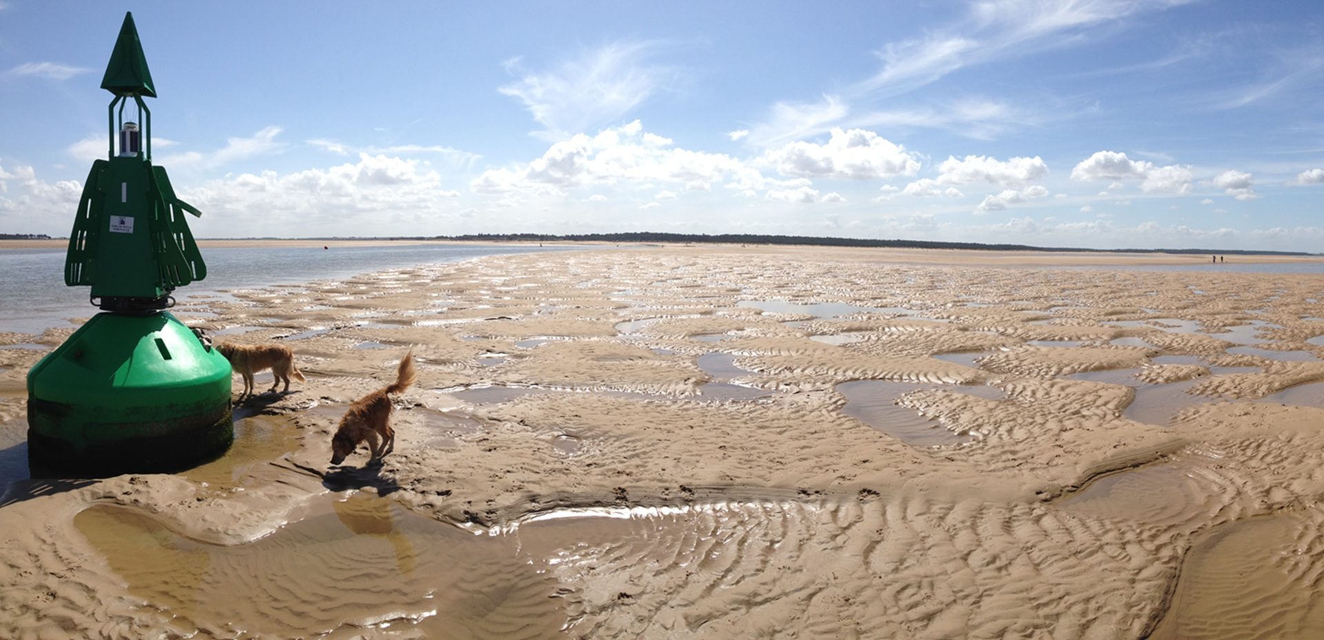 1920 900 Wells next the Sea dog walk low tide end of The Run 3
