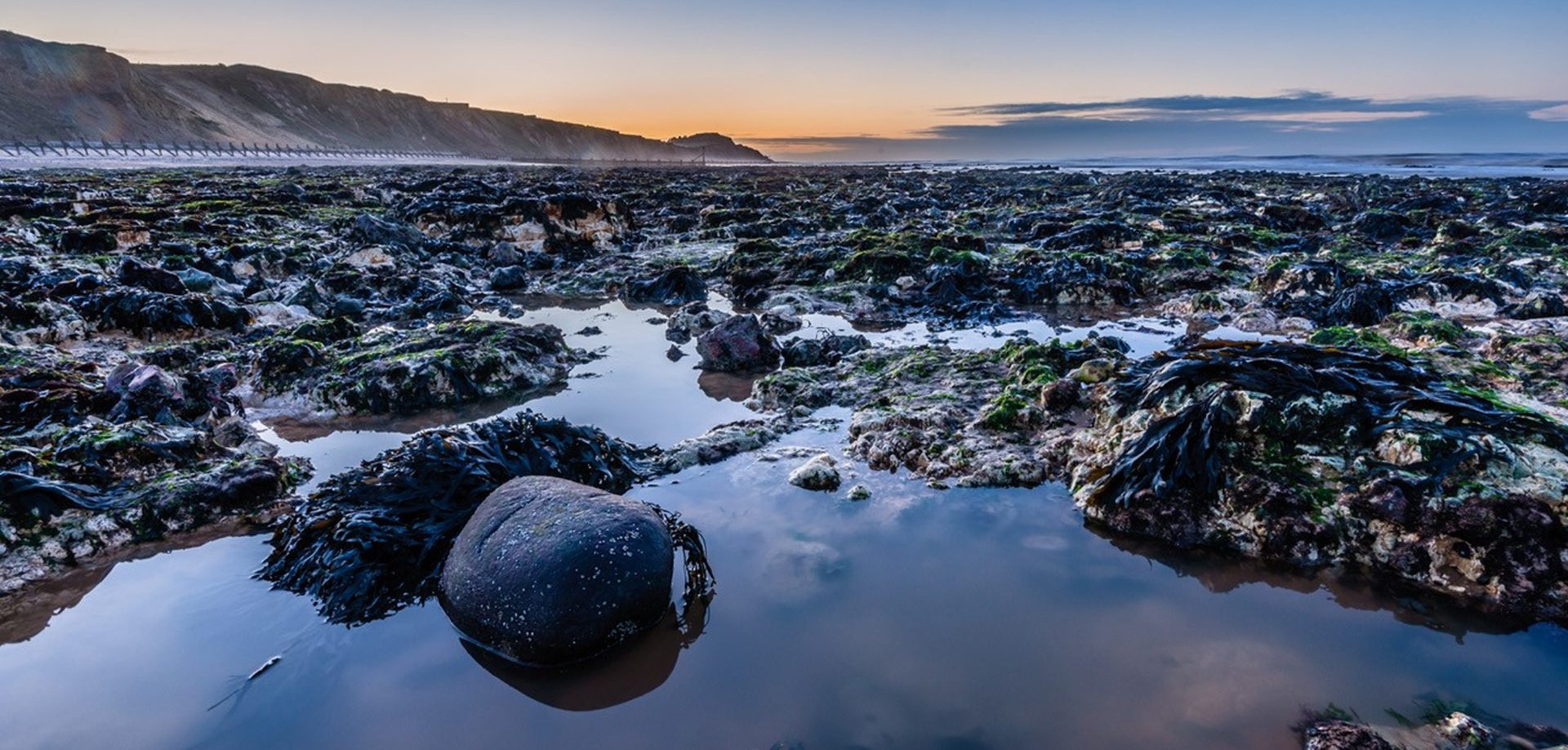 1920 900 West Runton rockpool 1