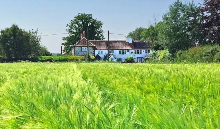 4 old lion cottages thurne norfolk 1
