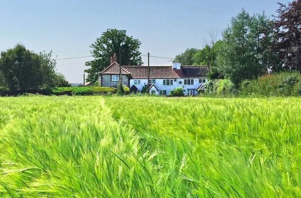 4 old lion cottages thurne norfolk 1