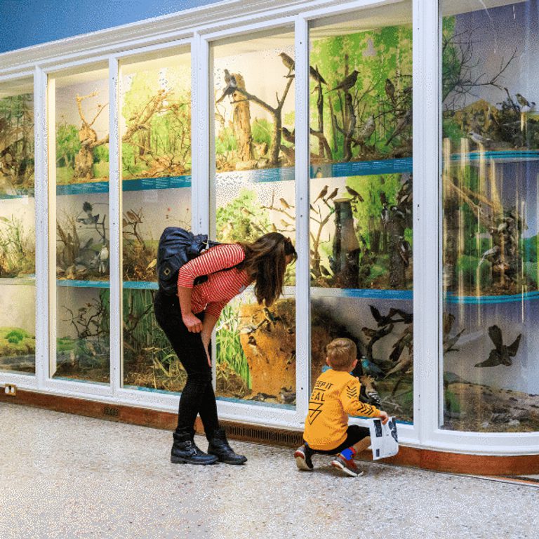 600 600 Norwich Castle museum displays 1