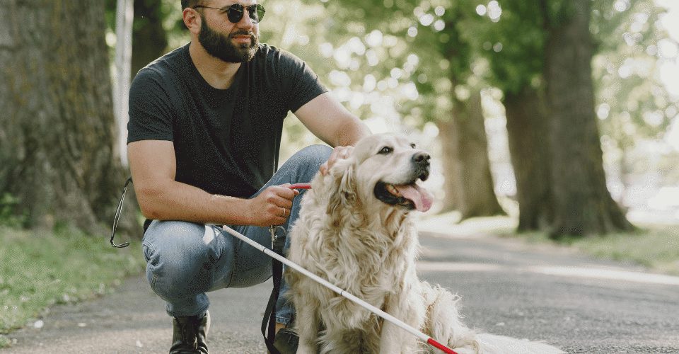 Accessibility Man hard of sight with guide dog