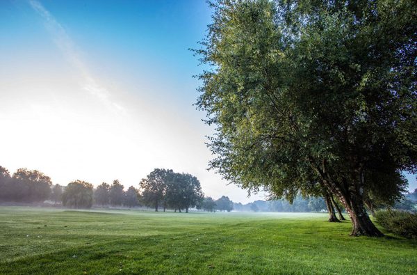 Barnham broom hotel 15