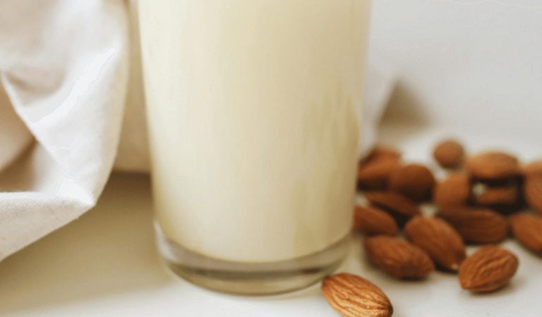 Plant-based menu options sustainable regenerative tourism 1920w x 900h px