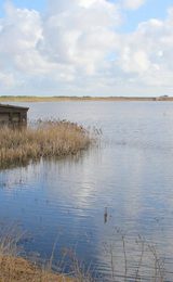 Discover Titchwell Marsh
