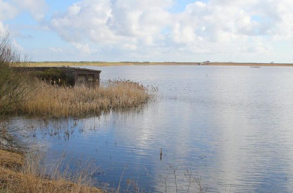 Discover Titchwell Marsh