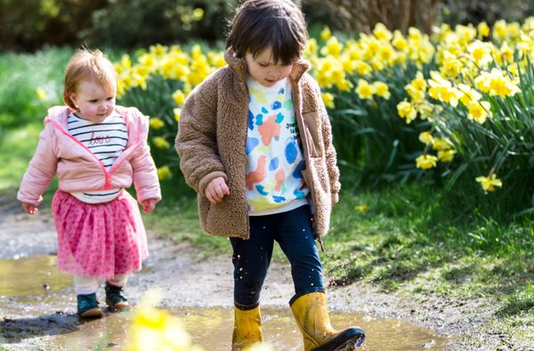 Enjoy early sensation daffodils in the garden at Blickling Estate National Trust Images Annapurna Mellor960px w x 640px h