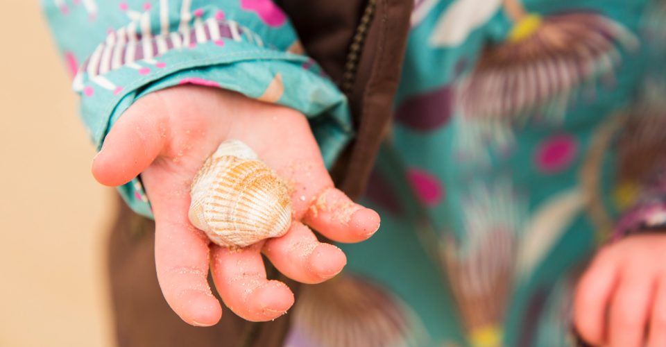 Family Friendly Child holding a shell Holkham Beach Norfolk