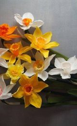 Floragami Paper flower making workshop Daffodils