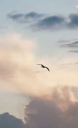 Gorleston on sea beach norfolk stock image 1