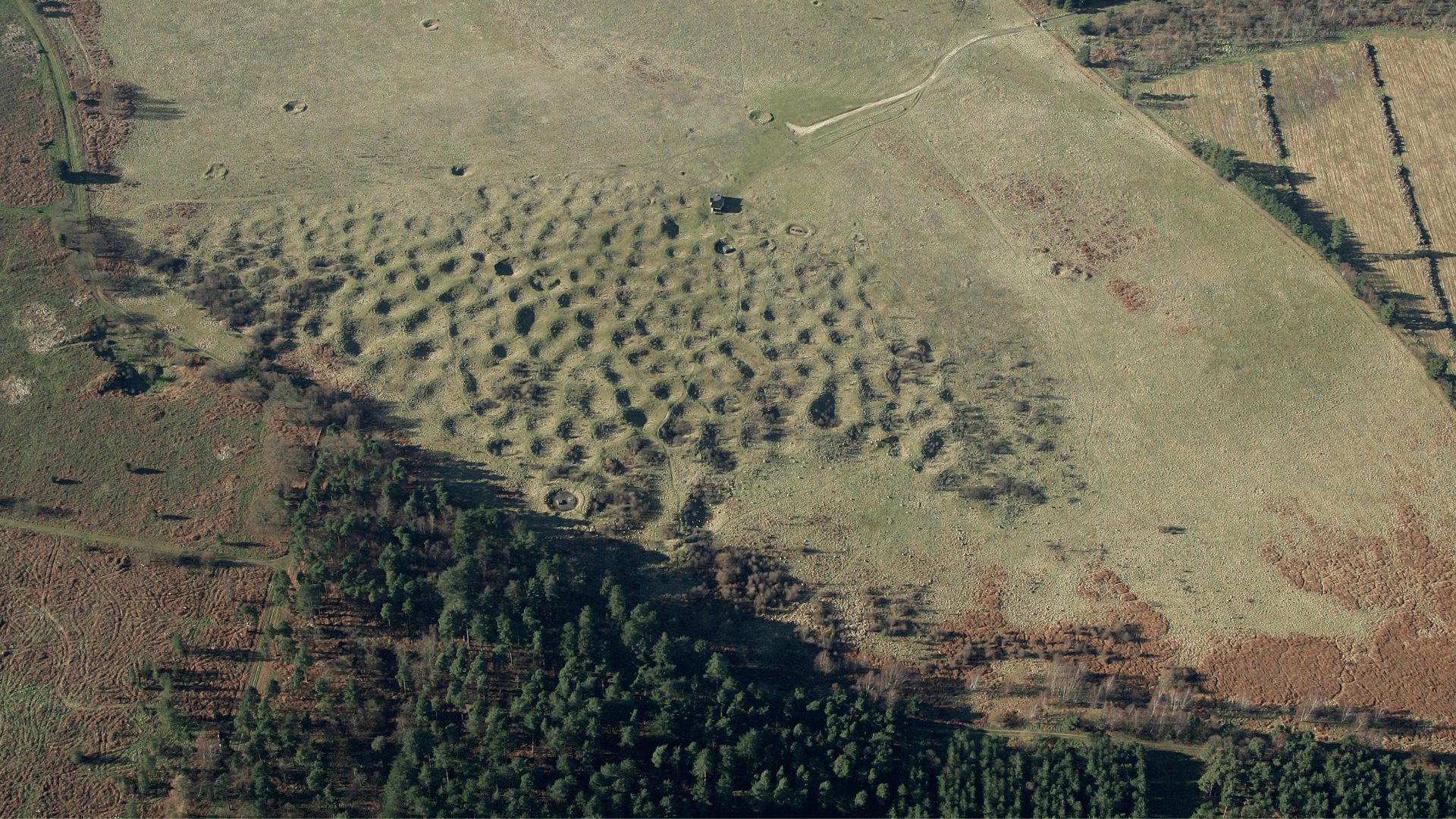 Grimes Graves aerial Mike Page 1 Brecks