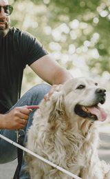 Assistance dog 1920w x 900h px