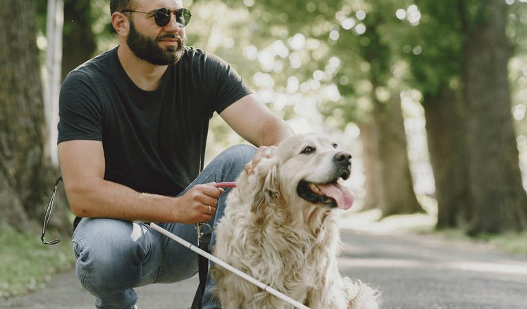 Assistance dog 1920w x 900h px