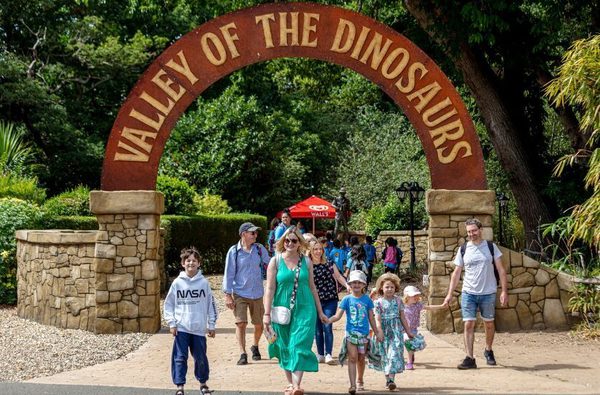 Mothers Day Weekend Afternoon Tea Experience