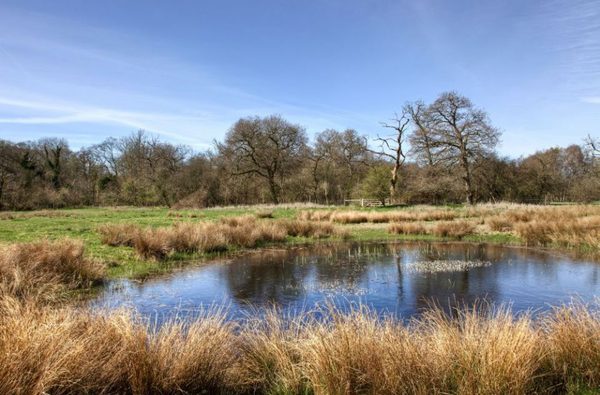 Nwt east wretham heath thetford 1