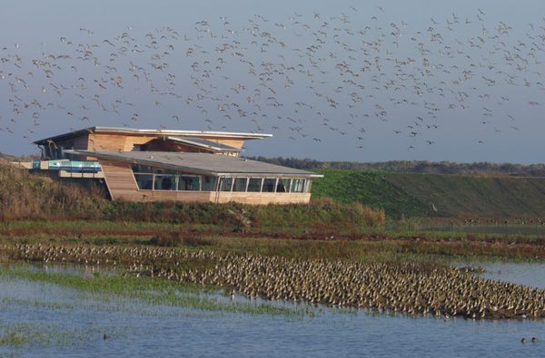 Snettisham and Titchwell Safari