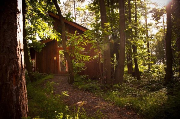 Thorpe forest cabins shadwell 1