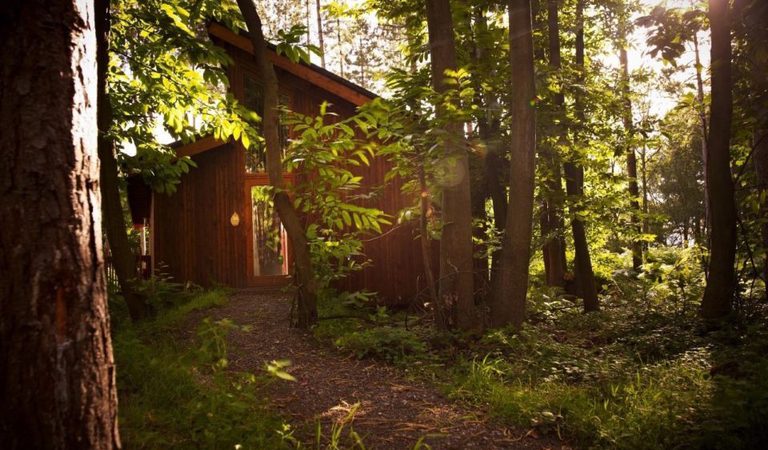 Thorpe forest cabins shadwell 1