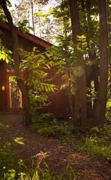 Thorpe forest cabins shadwell 1