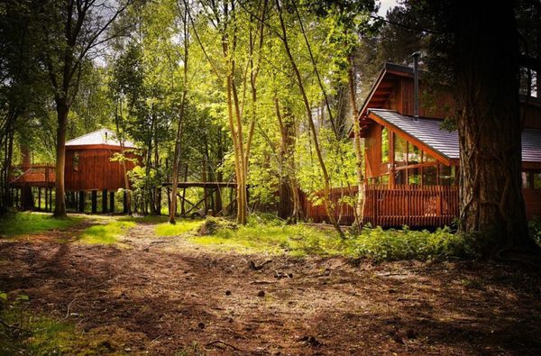 Thorpe forest cabins shadwell 2