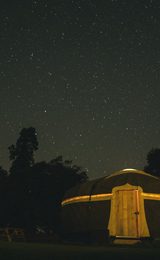 Wild meadow glamping at raynham estate 1