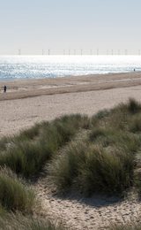 Winterton on sea beach norfolk 1